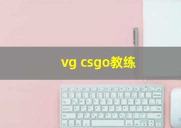 vg csgo教练